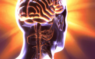 Exploring Indigenous Concepts of Consciousness